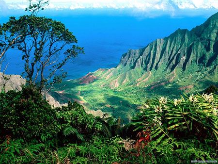سفری به جزایر هاوایی