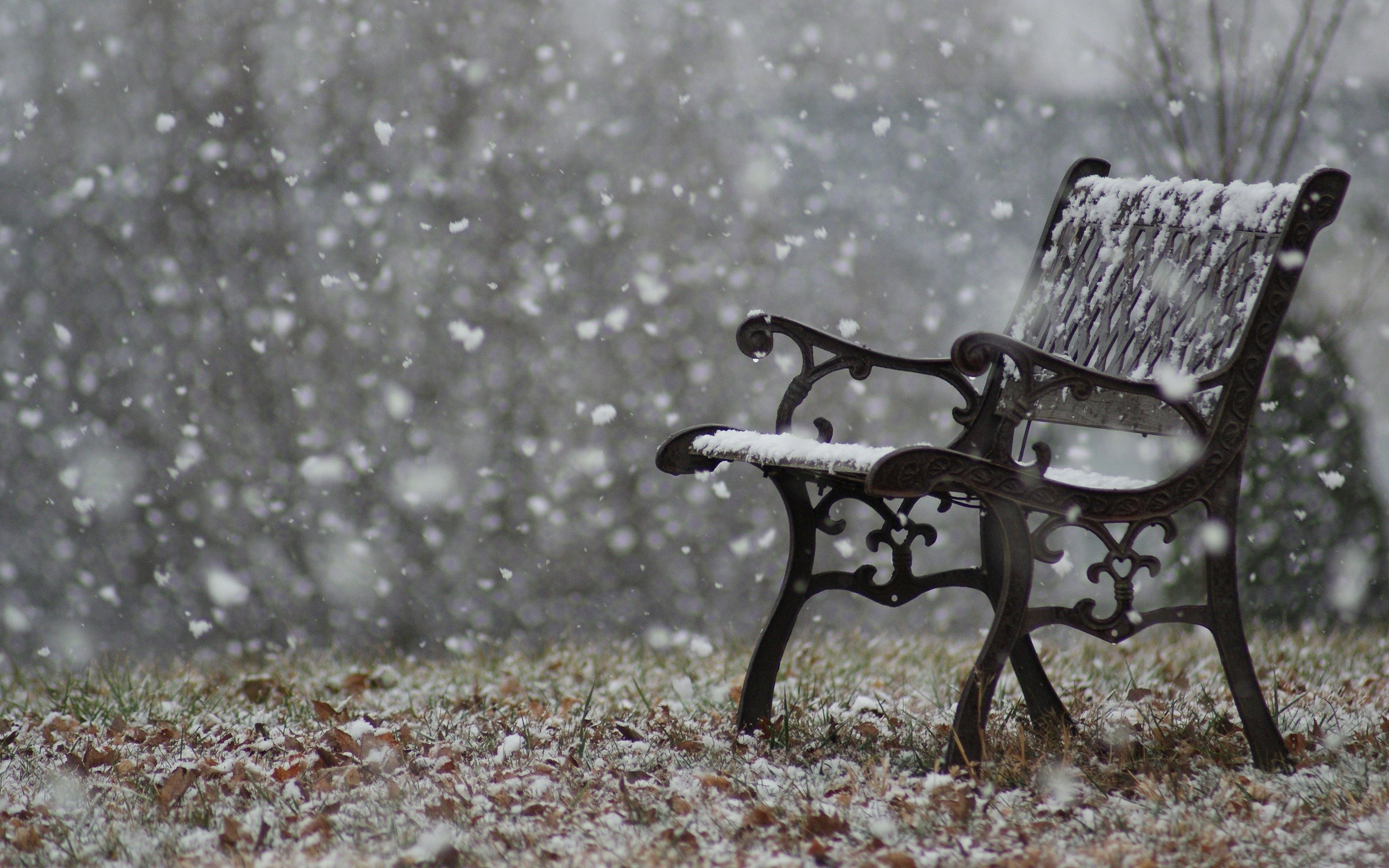عکسهای زیبا از طبیعت در فصل زمستان با کیفیت بالا