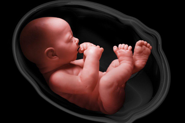 سقط جنین در چه صورت جایز است , سقط جنین