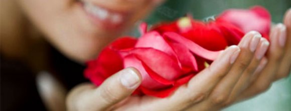 کاهش استرس با بو کردن گل سرخ و یاس