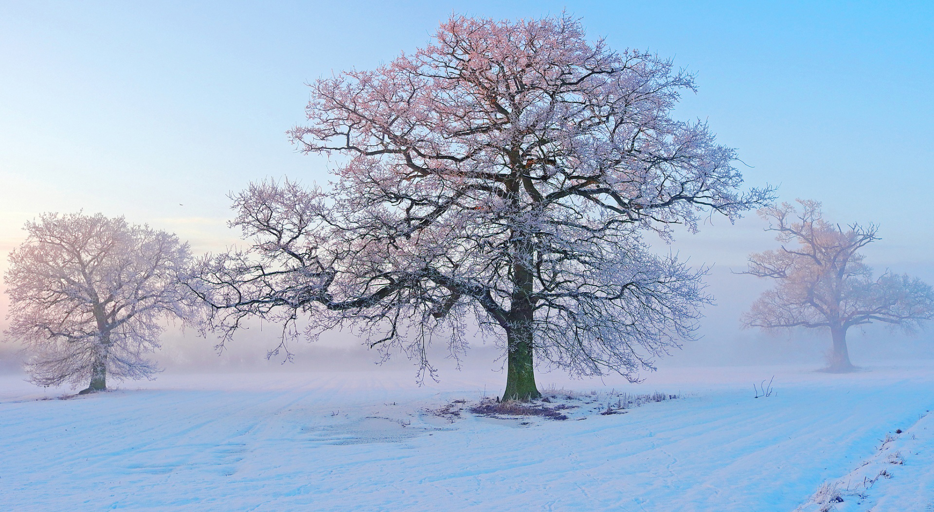 تصاویر پس زمینه HD زیبا و دیدنی از زمستان