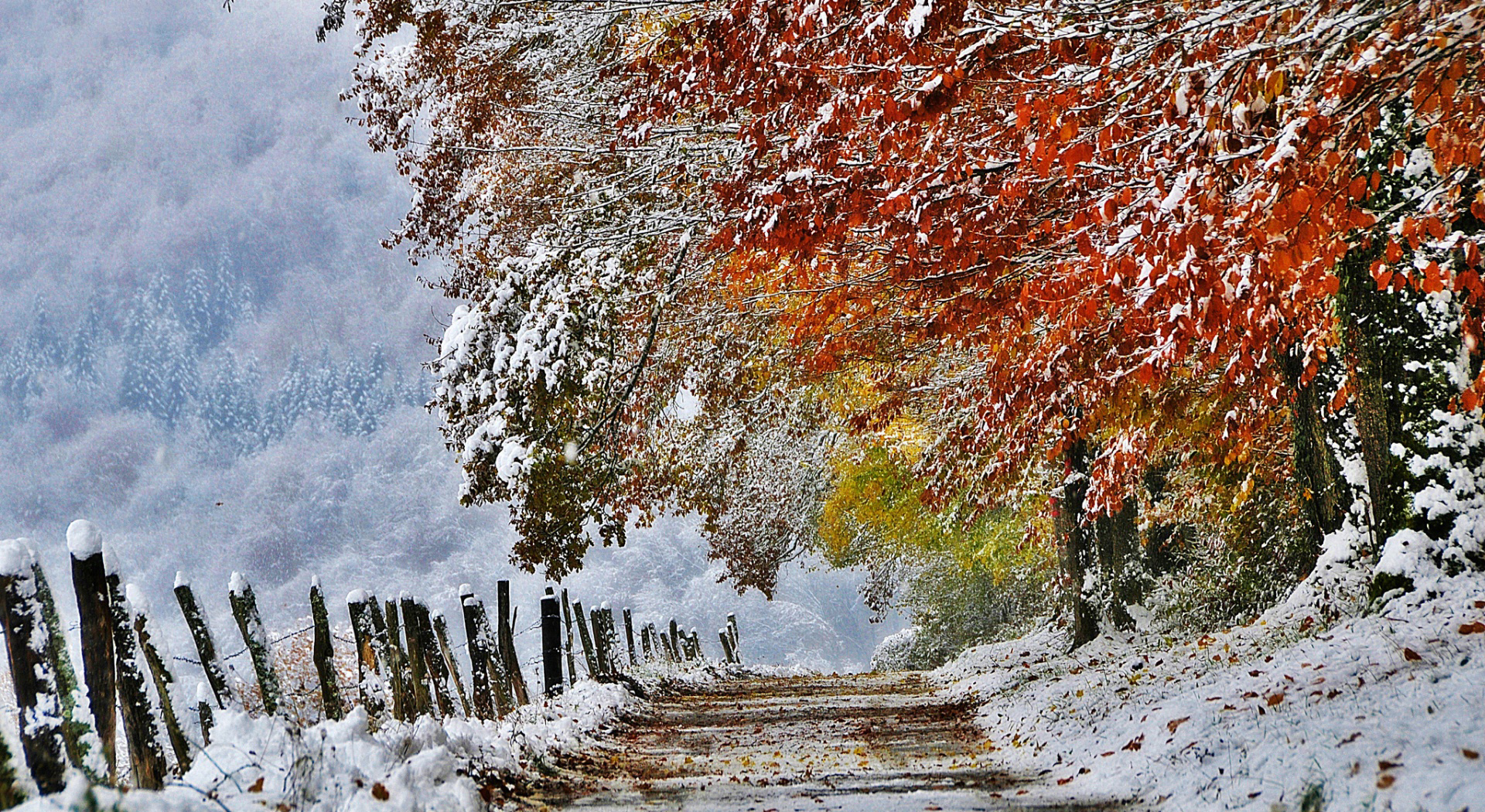 عکس از فصل زمستان با کیفیت بالا