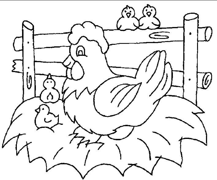 نقاشی مرغ و خروس 