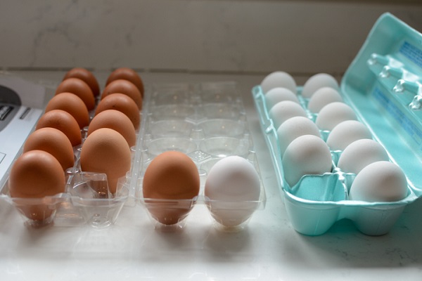 تفاوت بین تخم مرغ های قهوه ای و سفید