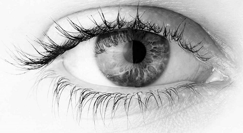 7 واقعیت جذاب درباره چشمانتان