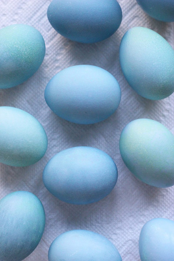 رنگ کردن تخم مرغ هفت سین