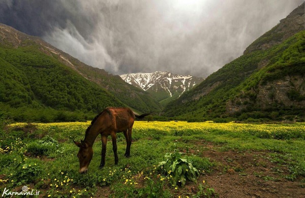 مکانی زیبا در ایران که هوش از سرتان می برد+تصاویر