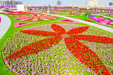 باغ معجزه،بزرگترین باغ گل دنیا در دبی