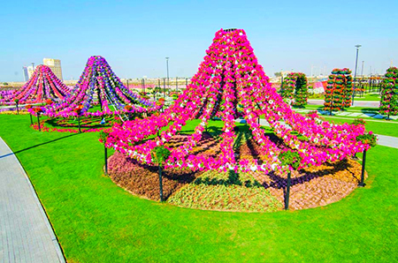 باغ معجزه،بزرگترین باغ گل دنیا در دبی