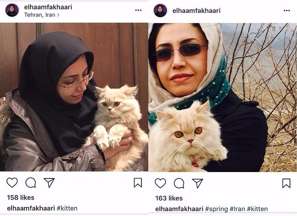الهام فخاری نماینده شورای شهر تهران با گربه خانگی اش+عکس