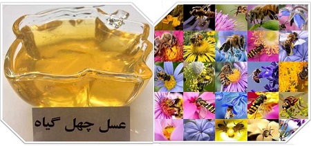 عسل چهل گیاه , ویژگی ها و خواص عسل چهل گیاه