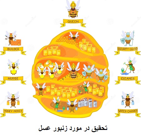 تحقیق در مورد زنبور تحقیق در مورد زنبور