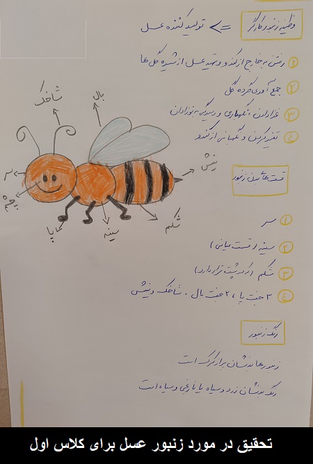 نمونه تحقیق در مورد زنبور عسل کلاس اول نمونه تحقیق در مورد زنبور عسل کلاس اول