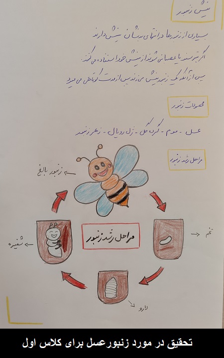 نمونه تحقیق در مورد زنبور عسل کلاس اول نمونه تحقیق در مورد زنبور عسل کلاس اول