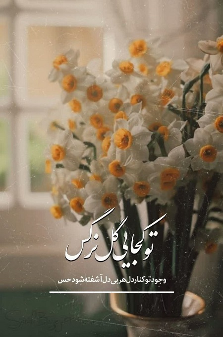 استوری نیمه شعبان جدید ,استوری ولادت امام زمان استوری نیمه شعبان جدید ,استوری ولادت امام زمان