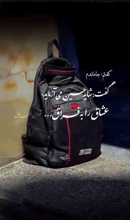 ۵۰ متن جامانده از کربلا و اربعین , جملات پر سوز دلتنگی کربلا ۵۰ متن جامانده از کربلا و اربعین , جملات پر سوز دلتنگی کربلا