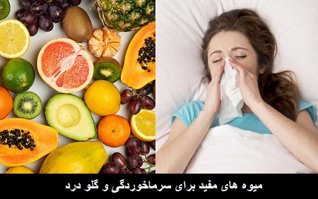 میوه های مفید برای سرماخوردگی و گلو درد میوه های مفید برای سرماخوردگی و گلو درد