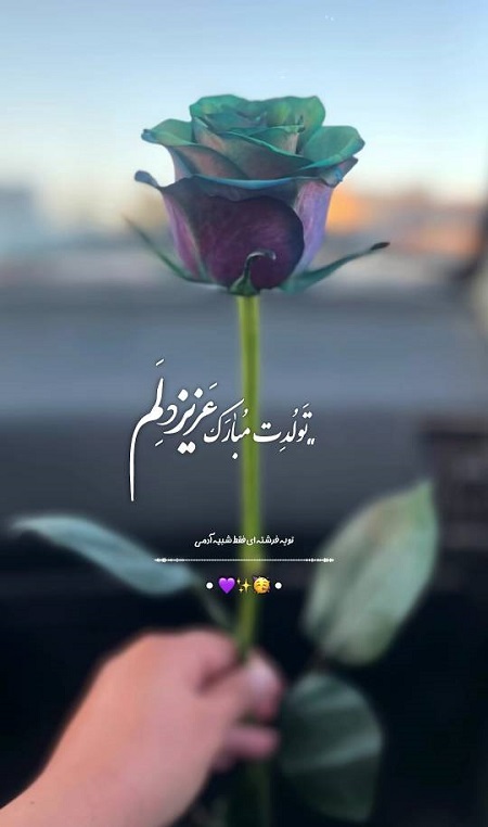 تولدت مبارک عزیزدلم تولدت مبارک عزیزدلم