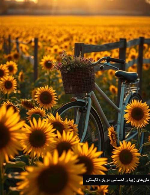 متن های زیبا و احساسی درباره تابستان متن های زیبا و احساسی درباره تابستان