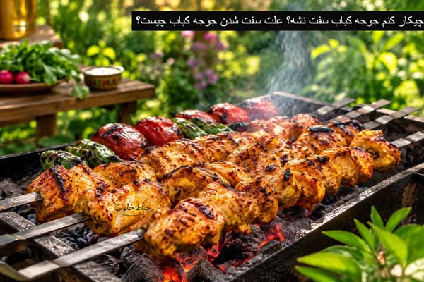 چیکار کنم جوجه کباب سفت نشه؟ علت سفت شدن جوجه کباب چیست؟ چیکار کنم جوجه کباب سفت نشه؟ علت سفت شدن جوجه کباب چیست؟