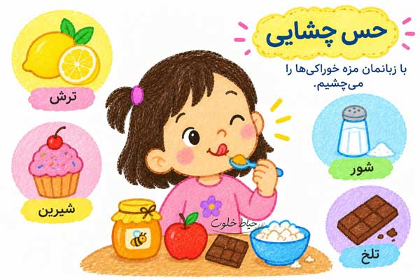 نقاشی حس چشایی کودکانه نقاشی حس چشایی کودکانه