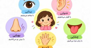 تحقیق درباره حواس پنجگانه کلاس اول